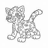 Coloring Jaguar Pages Preschoolers Baby Cat Getdrawings Getcolorings sketch template