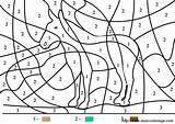 Cheval Chiffre Magique Chiffres Esel Donkey Coloriages Maternelle Zahlen Enfants Mulo Asino Jeux Incroyable Acceptable Ou Ausmalbild Gratuitement Magiques sketch template