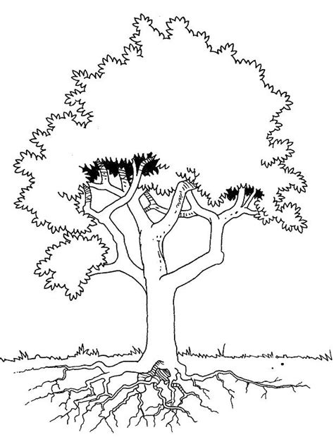 simple tree roots coloring coloring pages