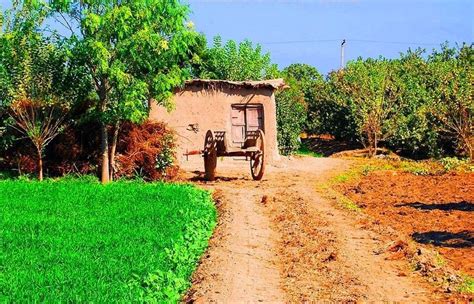 Punjabi Punjabi Village Photos