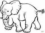 Colorir Elefante sketch template