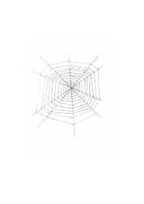 Cobweb Coloring Pages Edupics sketch template