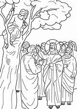 Zacchaeus Coloring Printable Collector Tax Library Clipart Colouring sketch template