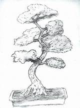 Bonsai Tree Drawing Paintingvalley Drawings Trees sketch template
