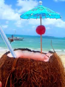 beach cherry coconut cute image 608660 on