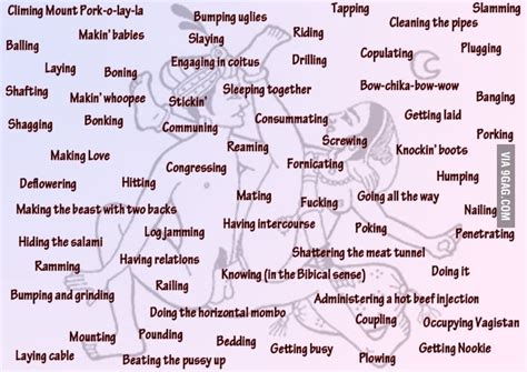 65 most popular synonyms for “having sex” 9gag