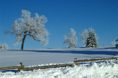 germany winter   photo  freeimages