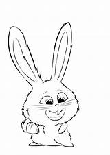Pets Secret Life Coloring Pages Bunny Print Carrot Raskrasil sketch template