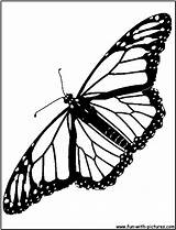 Butterfly Monarch Coloring Drawing Pages Page1 Tattoo Printable Tattoos Outlines Clip Clipart Kids Drawings Line Print Outline Butterflies Insect Color sketch template