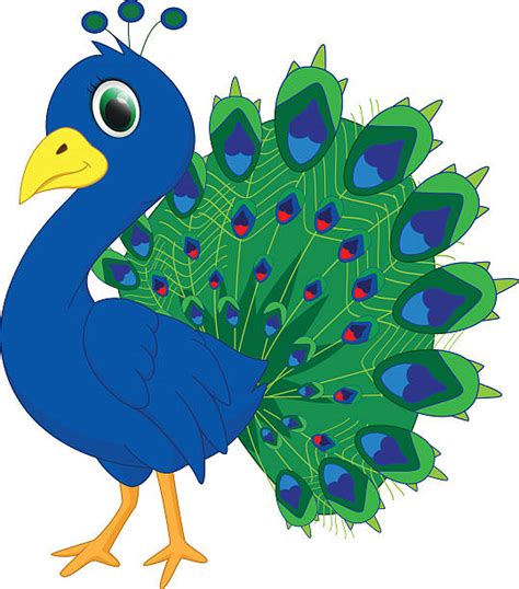royalty free peacock color clip art vector images and illustrations istock