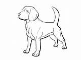 Beagle Coloring Pages Corgi Printable Educativeprintable Dog Color Print Kids Coloringtop Via sketch template