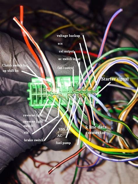 pin wiring diagram ecu wiring ecu basic diagram bike  switches wire diagram   civic