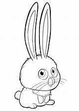 Coloring Pages Pets Life Secret Clipart Cute Cartoon Baby Bunnies Snowball Drawing Clip Cliparts Pea Sweet Transparent Gidget Printable Getcolorings sketch template