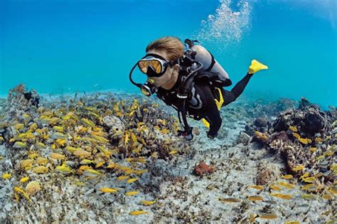 essential safety tips  divers urbanmatter