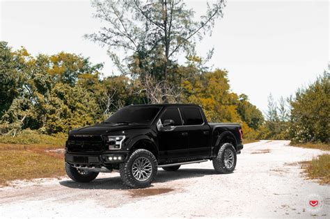 stealthy truck   black lifted ford