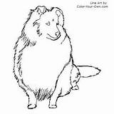 Coloring Pages Sheepdog English Old Getcolorings Sheltie sketch template