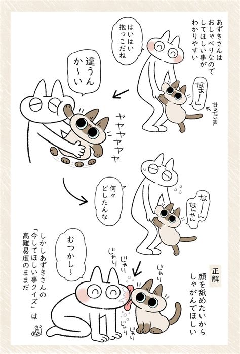 yk🐈‍⬛弓良家支援者 on twitter rt yamanobejin 察してクイズ 難易度高 シャム猫あずきさんは世界の中心
