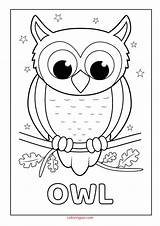 Owl Coloring Pages Printable Drawing Kids Owls Sheets Drawings Animal Coloringoo Simple sketch template