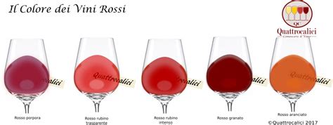 Il Colore Nei Vini Rossi Quattrocalici