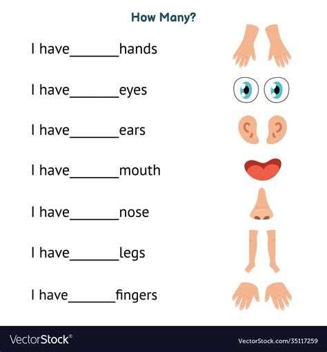 body parts worksheet preschool  kids  eslchallenge