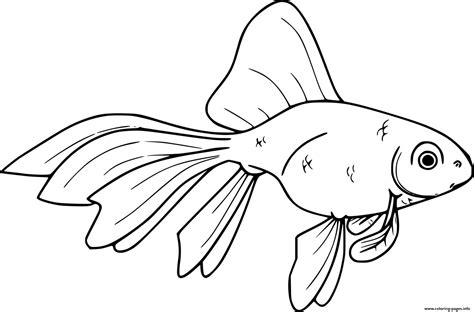 shubunkin goldfish coloring page printable