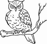 Owl Coloring Pages Kids Printable sketch template