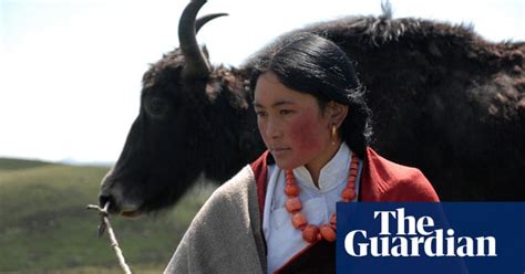 yak wool the new cashmere fashion the guardian