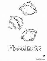 Hazelnut Coloring Pages Hellokids Fruit Color Print Tree sketch template
