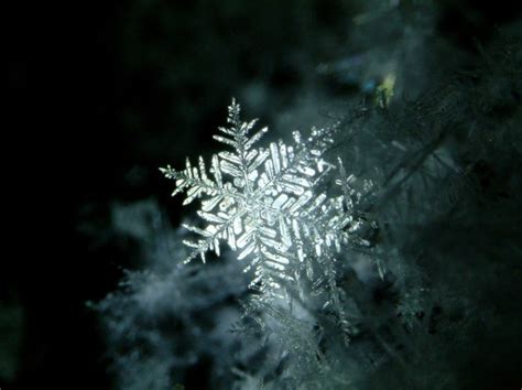 snowflake expands  amazon  azure cloud techcrunch
