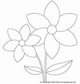 Flower Flowers Coloring Printable Pages Drawing Rose Template Templates Jasmine Para Spring Petals Color Windows Easy Print Flores Step Colouring sketch template