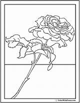 Rose Coloring Pages Long Stem Sweet Printable Pdf Printables Kids Colorwithfuzzy sketch template