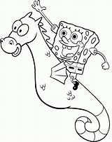Spongebob Seahorse Mewarnai Sponge Squarepants Anak Halaman Sketch Choosing Sponges Kostenlos Squidward Krabs Raskrasil Drucken sketch template