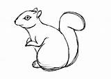 Squirrel Drawing Coloring Clipart Line Pages Drawings Garden Easy Step Flying Printable Kids Deborah Leigh Statue Squirrels Clip Cliparts Clipartbest sketch template