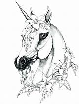 Unicorn Pages Coloring Adults Getcolorings Astonishing Cute Getdrawings sketch template