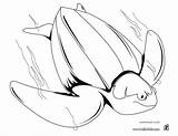 Turtle Leatherback Coloring Pages Print Hellokids Animal Color Online sketch template