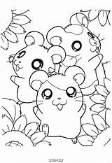 Kleurplaten Kleurplaat Hamster Van Pages Dieren Rudolf Mandala Afkomstig Nl Coloring Hamtaro Hamsters Tekeningen sketch template