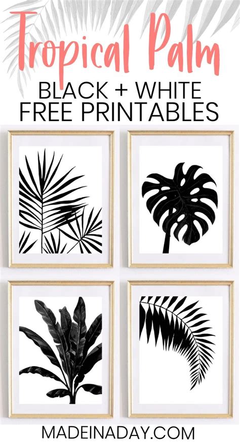 black  white printables freeprintabletmcom freeprintabletmcom