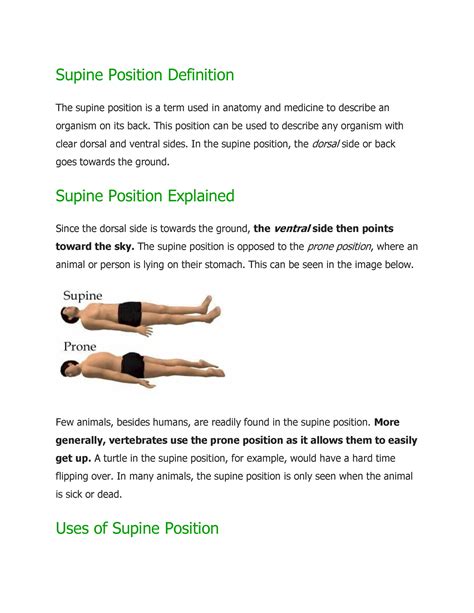 supine position definition  position     describe