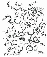 Coloring Forest Animals Pages Woodland Animal Cute Kids Color Sheets Printable Colouring Fall Bosdieren Worksheets Print Kleurplaat Theme Preschool Kleurplaten sketch template