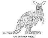 Wallaroo Clipart Coloring Drawings Designlooter Illustrations Thousands Eps Royalty Vector Search Available Stock 56kb 194px sketch template