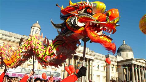 opinion  chinese  year festival     holiday