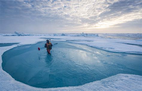 research shows   improve prediction  arctic melt ponds