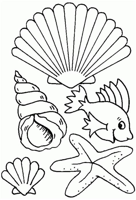 seashells coloring page coloring home