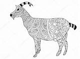 Goat Coloring Adults Illustration Vector Depositphotos Gmail sketch template