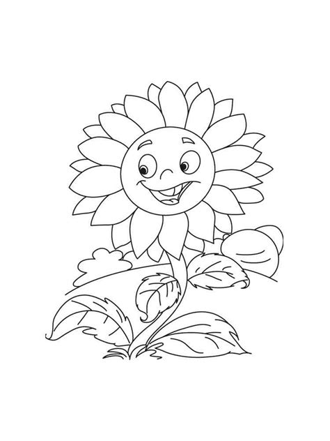 sunflower coloring pages   print sunflower coloring pages