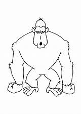 Gorilla Coloring Kids Pages Getdrawings sketch template