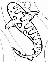Whale Getcolorings sketch template