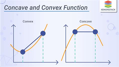 concave  convex