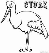 Stork Coloring Pages Colorings sketch template