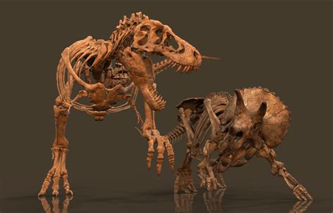 Vitamin Imagination Tyrannosaurus Vs Triceratops By Vitamin
